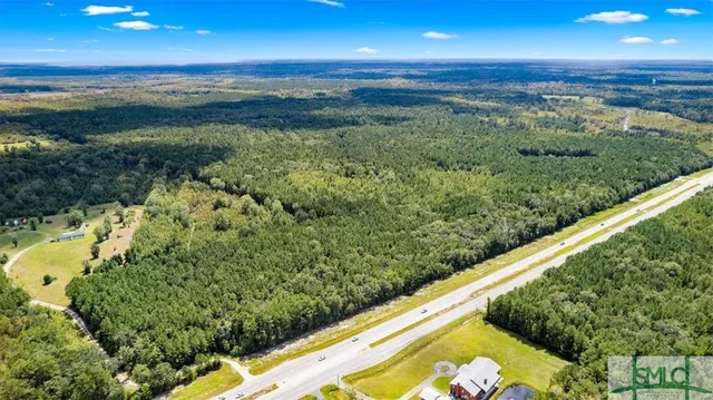 $1,300,000 | 262.44-ac Leroy Coffer Highway, Fleming, GA 31309