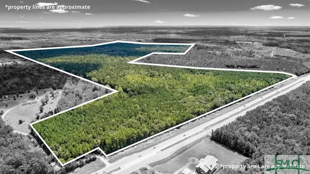 $1,300,000 | 262.44-ac Leroy Coffer Highway, Fleming, GA 31309