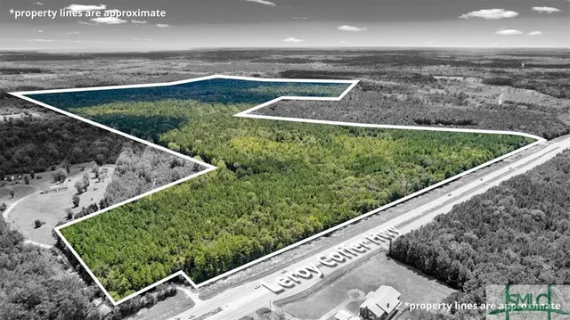 $1,300,000 | 262.44-ac Leroy Coffer Highway, Fleming, GA 31309