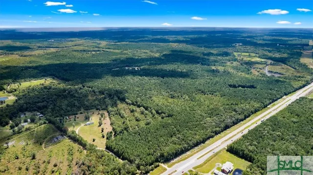 $1,300,000 | 262.44-ac Leroy Coffer Highway, Fleming, GA 31309