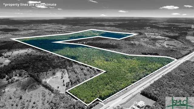 $1,300,000 | 262.44-ac Leroy Coffer Highway, Fleming, GA 31309