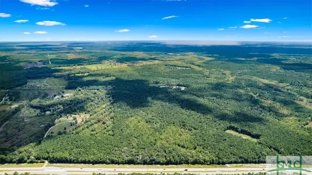$1,300,000 | 262.44-ac Leroy Coffer Highway, Fleming, GA 31309