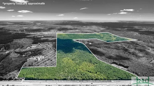 $1,300,000 | 262.44-ac Leroy Coffer Highway, Fleming, GA 31309