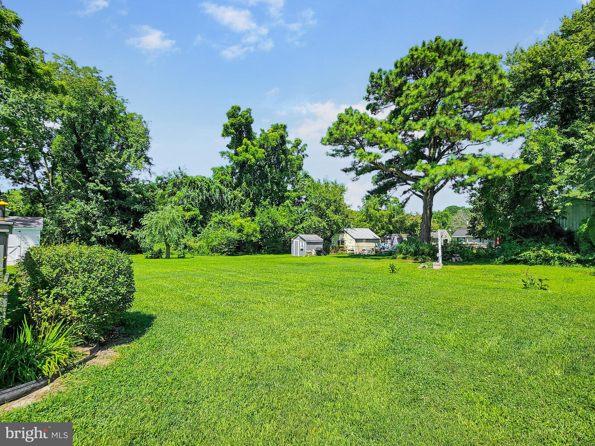 30482 Zion Road Salisbury, MD 21804 - Photo 4 of 39 Large backyard