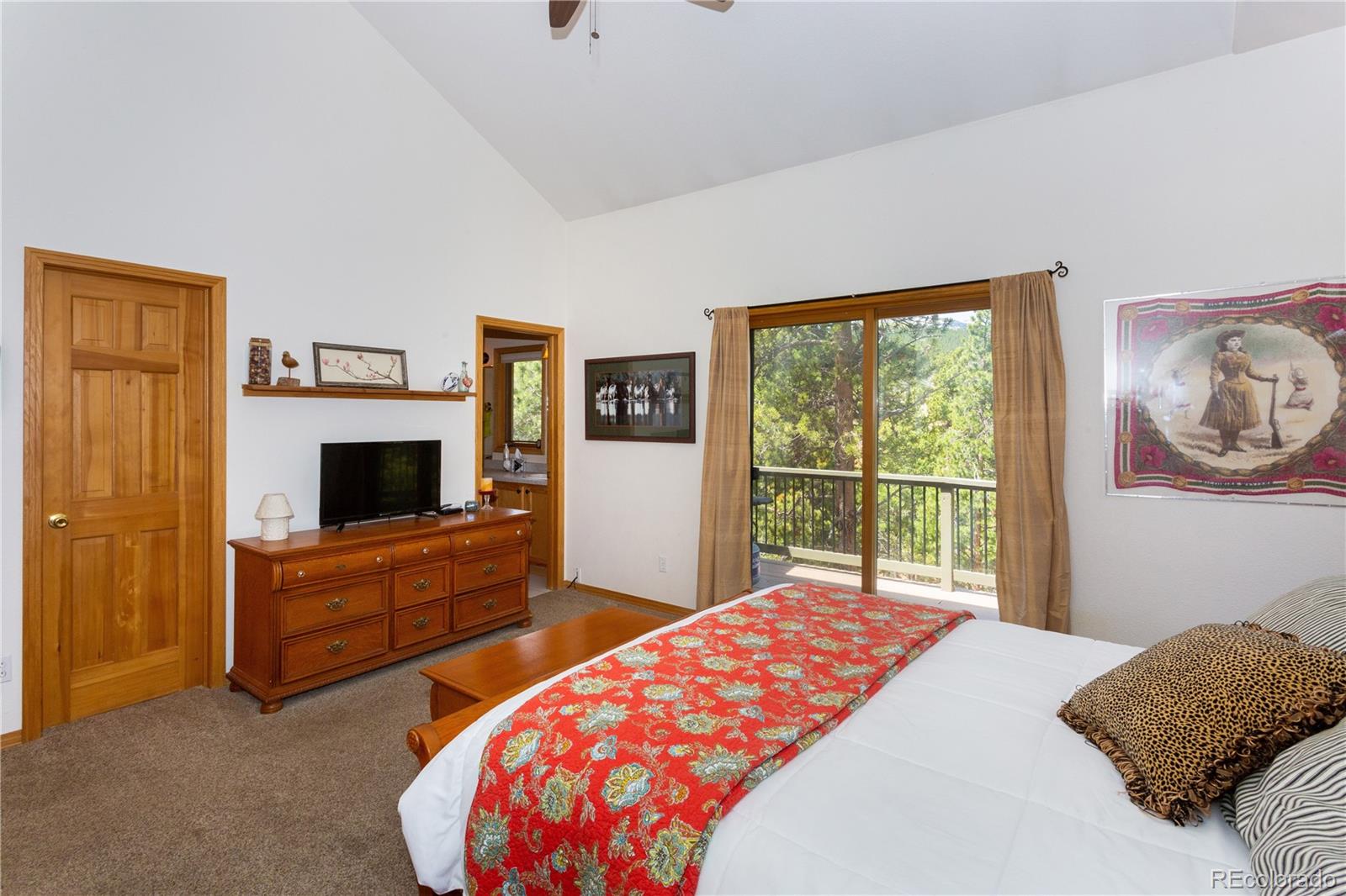 706 Royal Ridge Drive Bailey, CO 80421 - Photo 13 of 40 Gallery Image 13