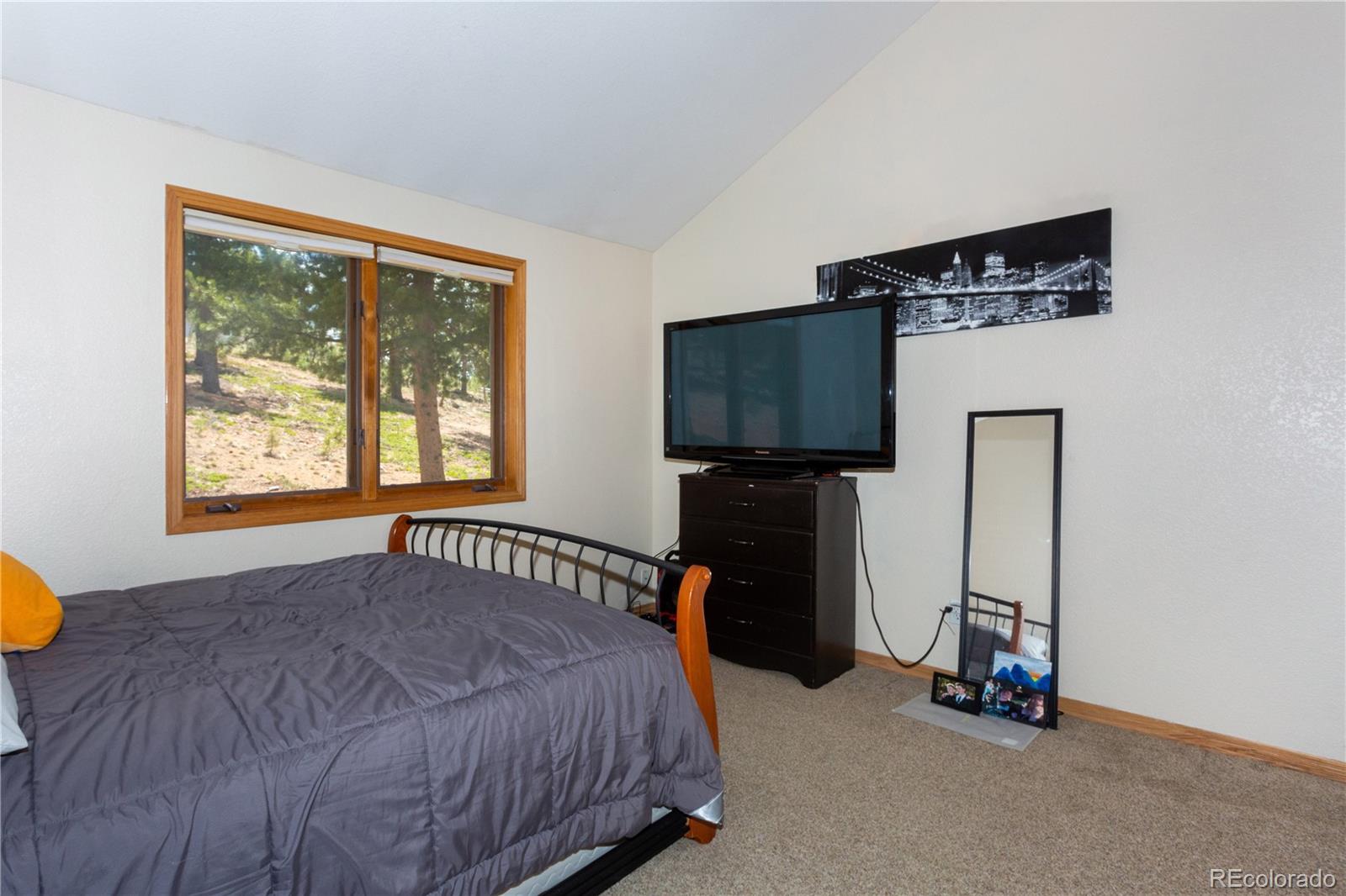 706 Royal Ridge Drive Bailey, CO 80421 - Photo 16 of 40 Gallery Image 16