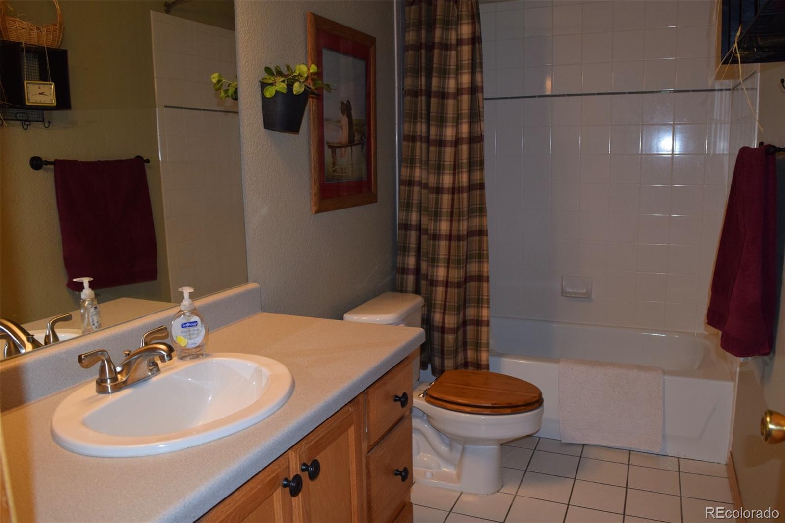 706 Royal Ridge Drive Bailey, CO 80421 - Photo 23 of 40 Gallery Image 23