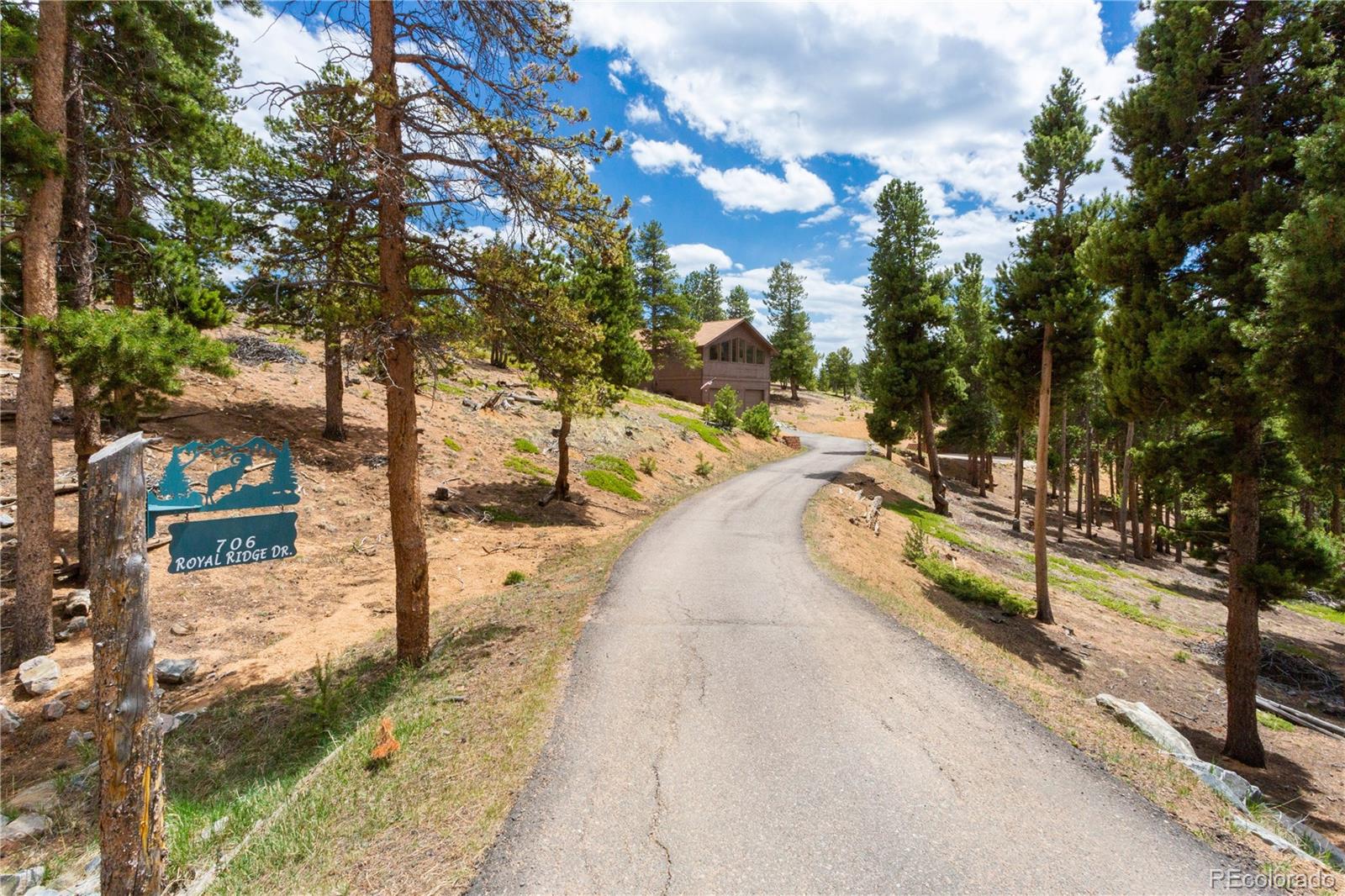 706 Royal Ridge Drive Bailey, CO 80421 - Photo 38 of 40 Gallery Image 38