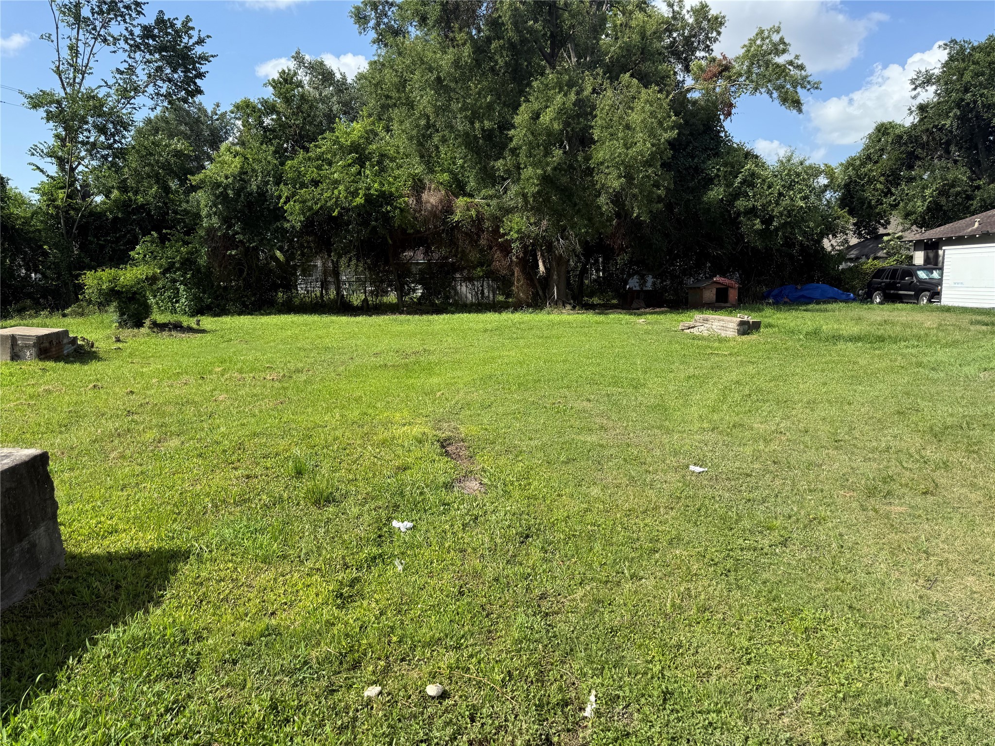a view of garden with trees