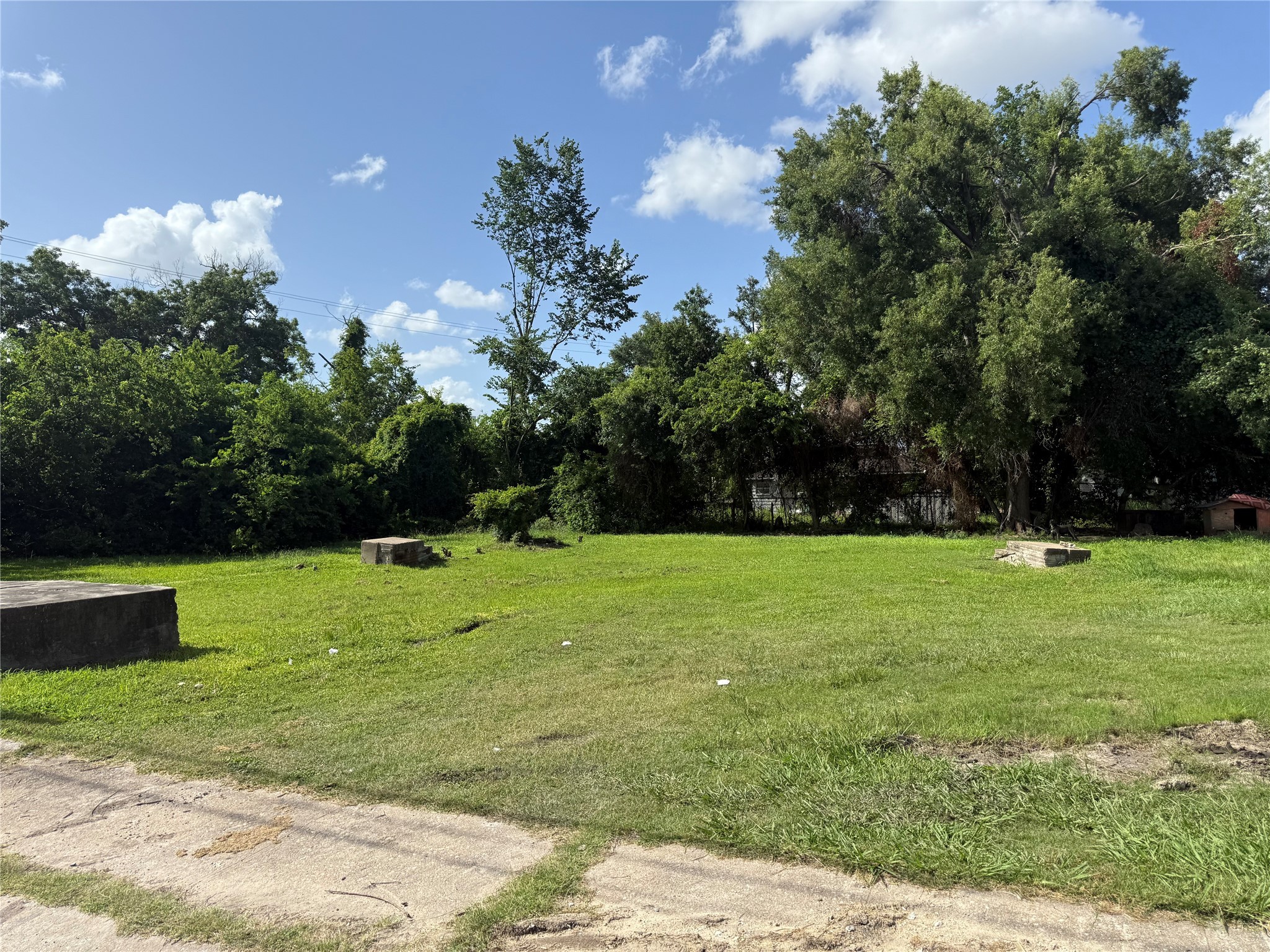 3307 Drew Street Houston, TX 77004 - Photo 2 of 10 a backyard of a house with lots of green space