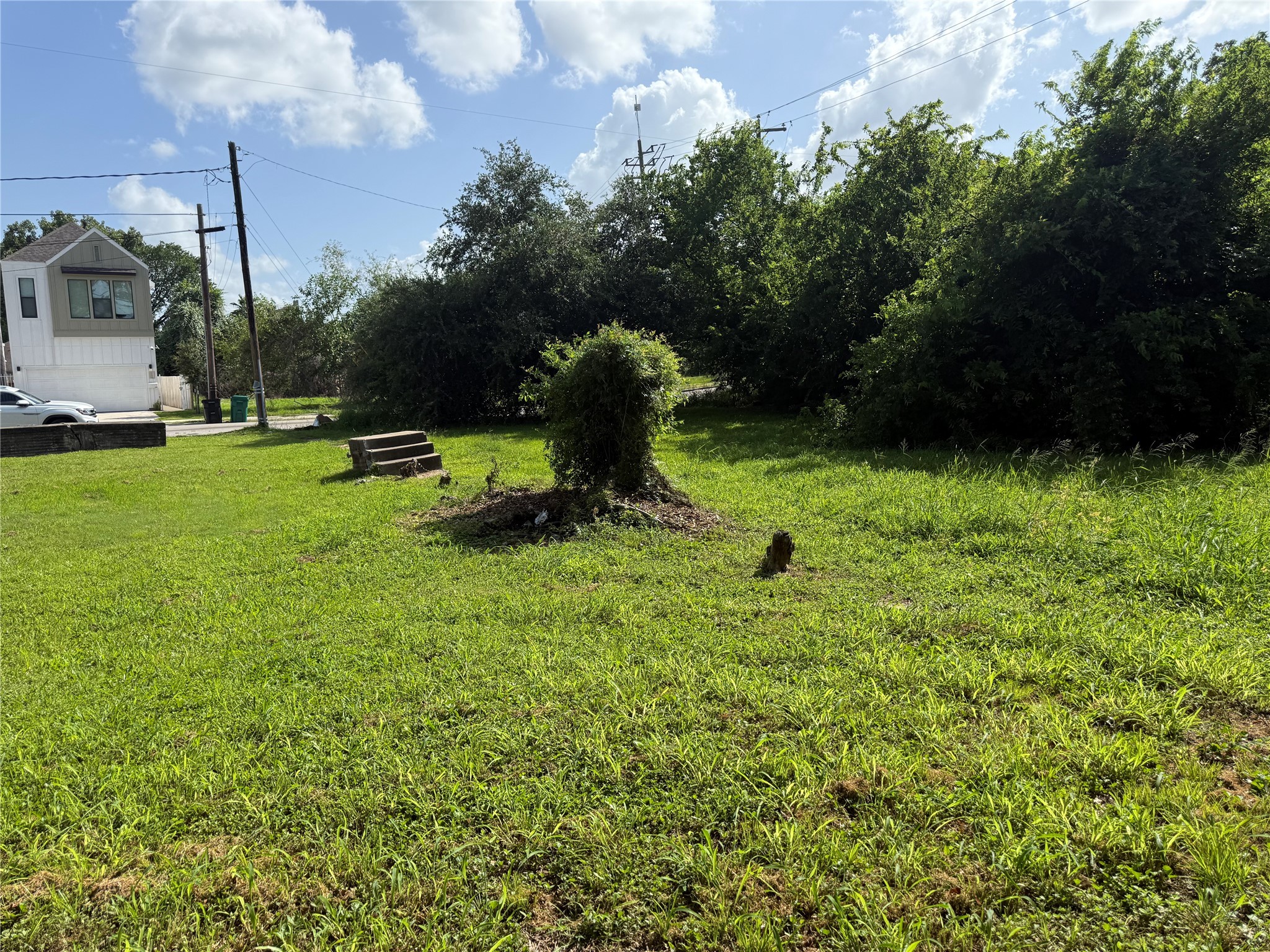 3307 Drew Street Houston, TX 77004 - Photo 6 of 10 a view of a garden