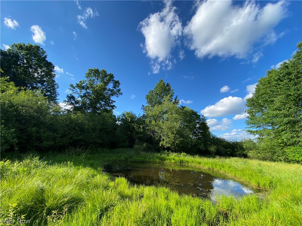8924 South Raccoon Road Canfield, OH 44406 - Photo 25 of 34 pond