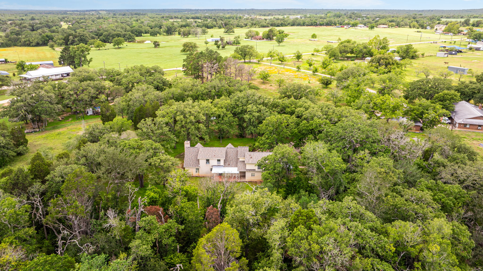 272 Old Coach Lane Elgin, TX 78621 - Photo 4 of 39