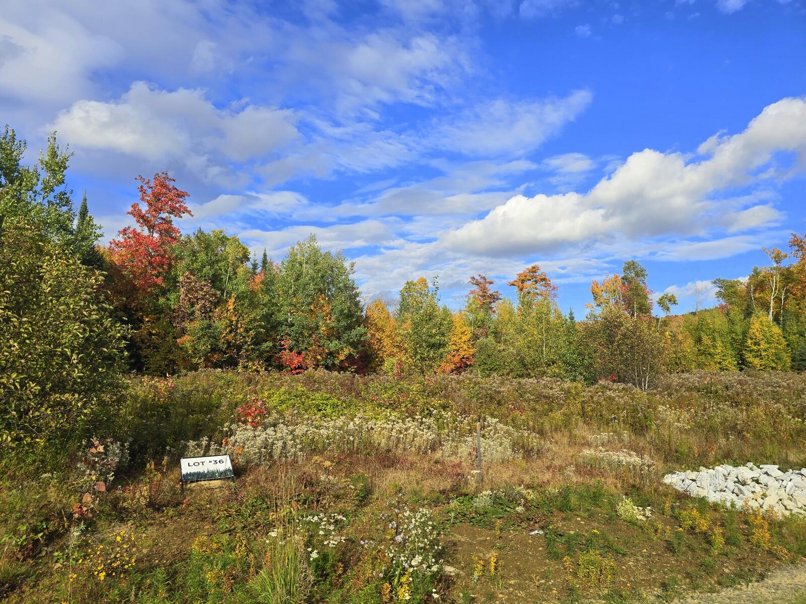36 Chimney Rock Road Wilton, ME 04294 - Photo 1 of 22 20261001_154859