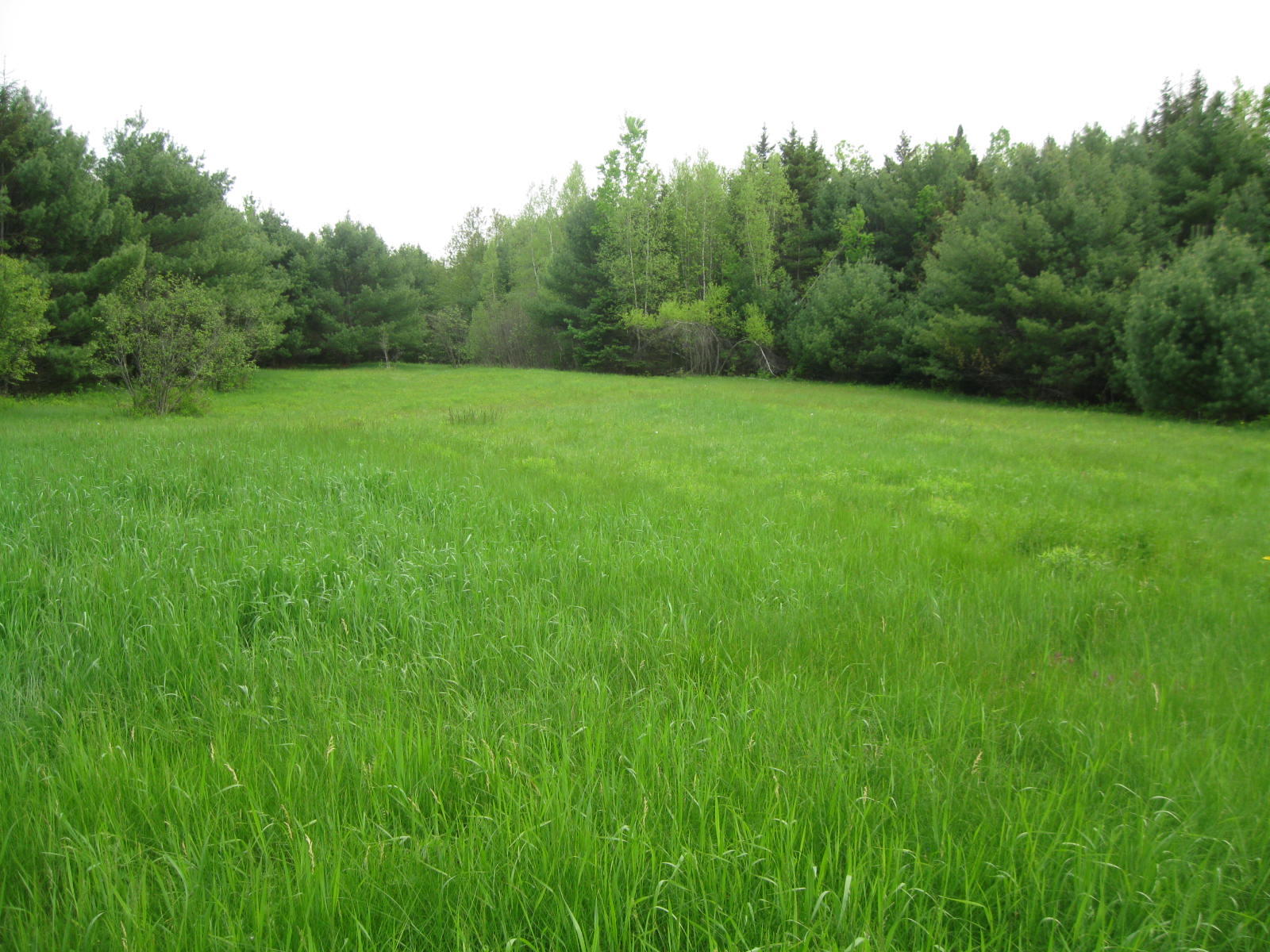 0 Unity Road Waterville, ME 04901 - Photo 5 of 9 IMG_8007