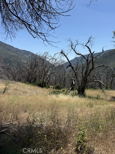 24 North 35 Road Covelo, CA 95428 - Photo 34 of 41 view from cabin area