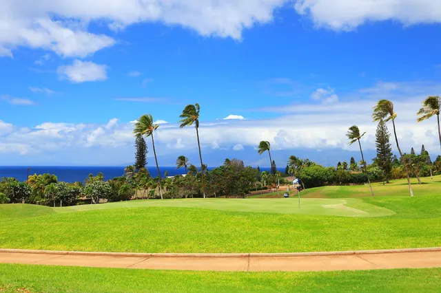 $3,890,000 | 250 Akia Place, Lahaina, HI 96761