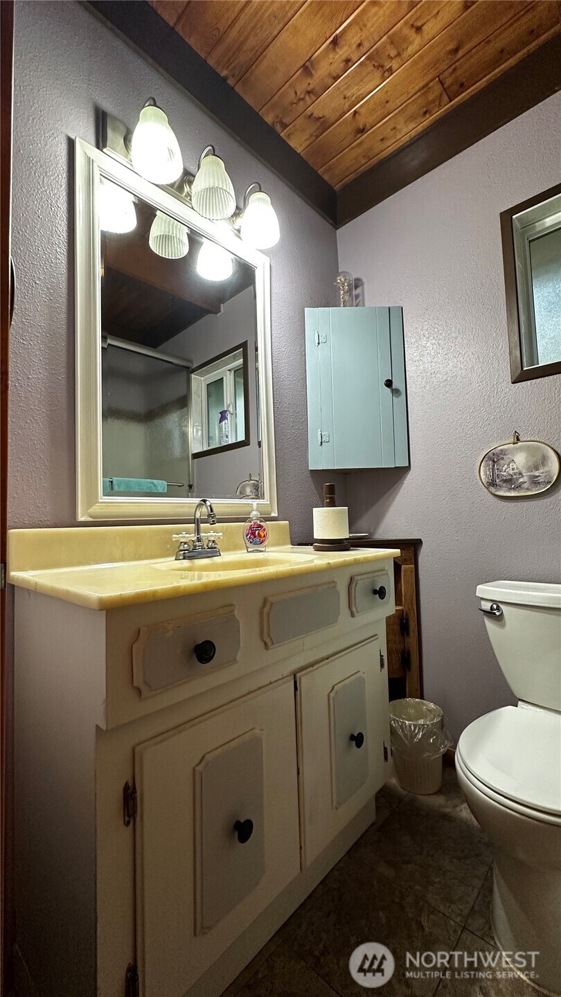 271 Salmon Street Brinnon, WA 98320 - Photo 11 of 17 a bathroom with a toilet a sink and mirror