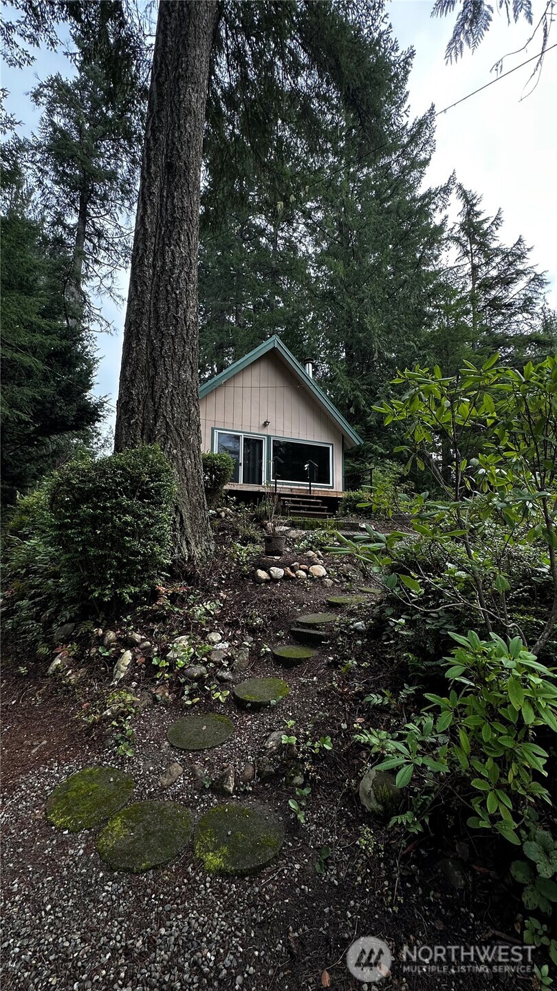 271 Salmon Street Brinnon, WA 98320 - Photo 3 of 17 a house with a tree in the background