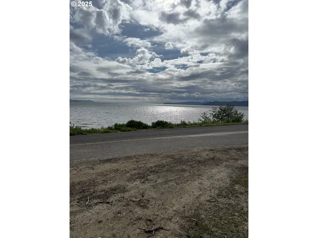 a view of a yard with large trees