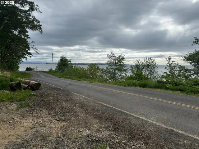 a view of a yard with trees in the background