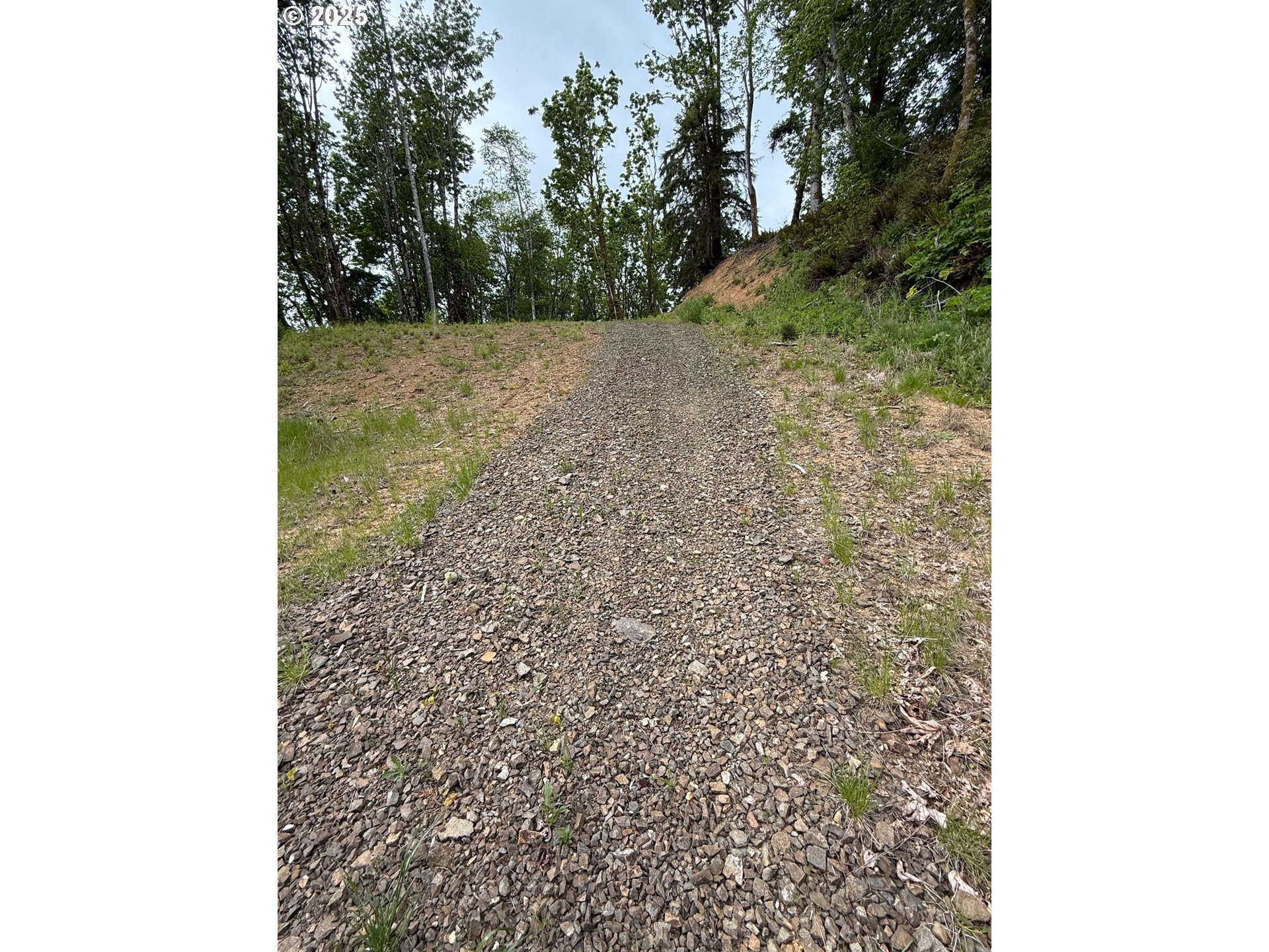 1049 Altoona-Pillar Rock Road Rosburg, WA 98643 - Photo 4 of 10