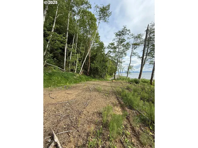 $179,000 | 1049 Altoona-Pillar Rock Road, Rosburg, WA 98643