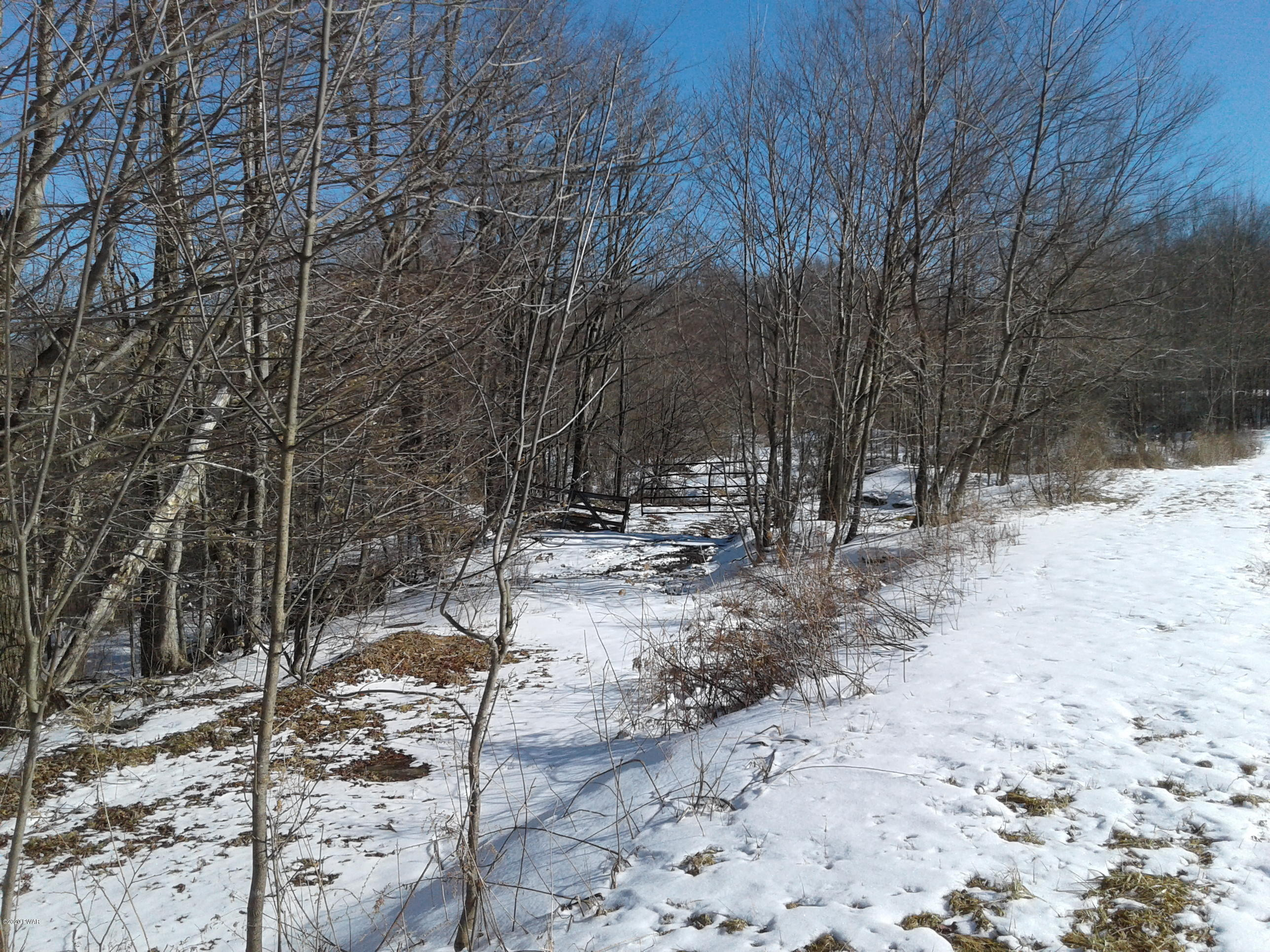 Hickory Hill Road Starrucca, PA 18462 - Photo 13 of 15