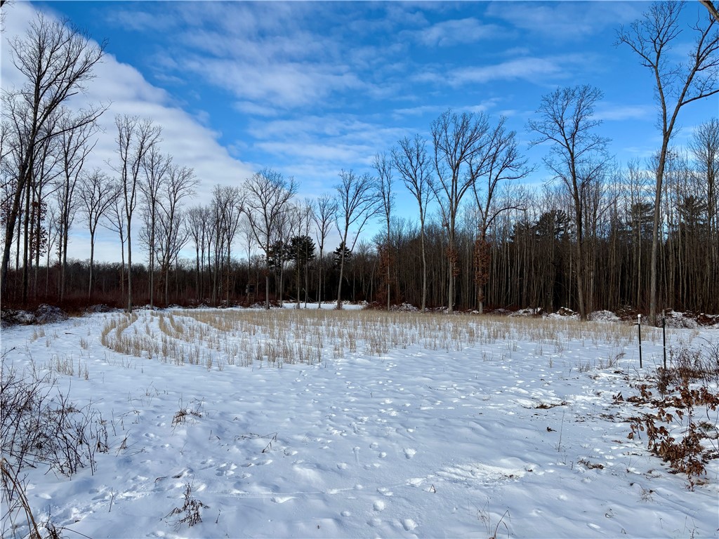 0 Sherwood Road Granton, WI 54436 - Photo 46 of 59