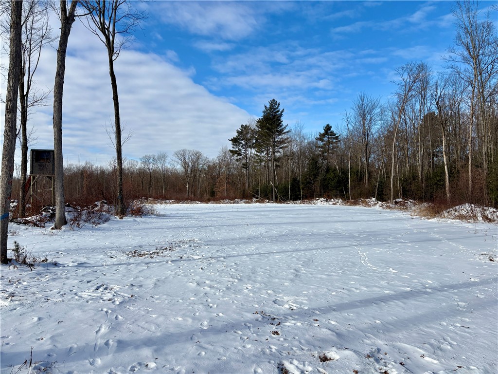 0 Sherwood Road Granton, WI 54436 - Photo 48 of 59