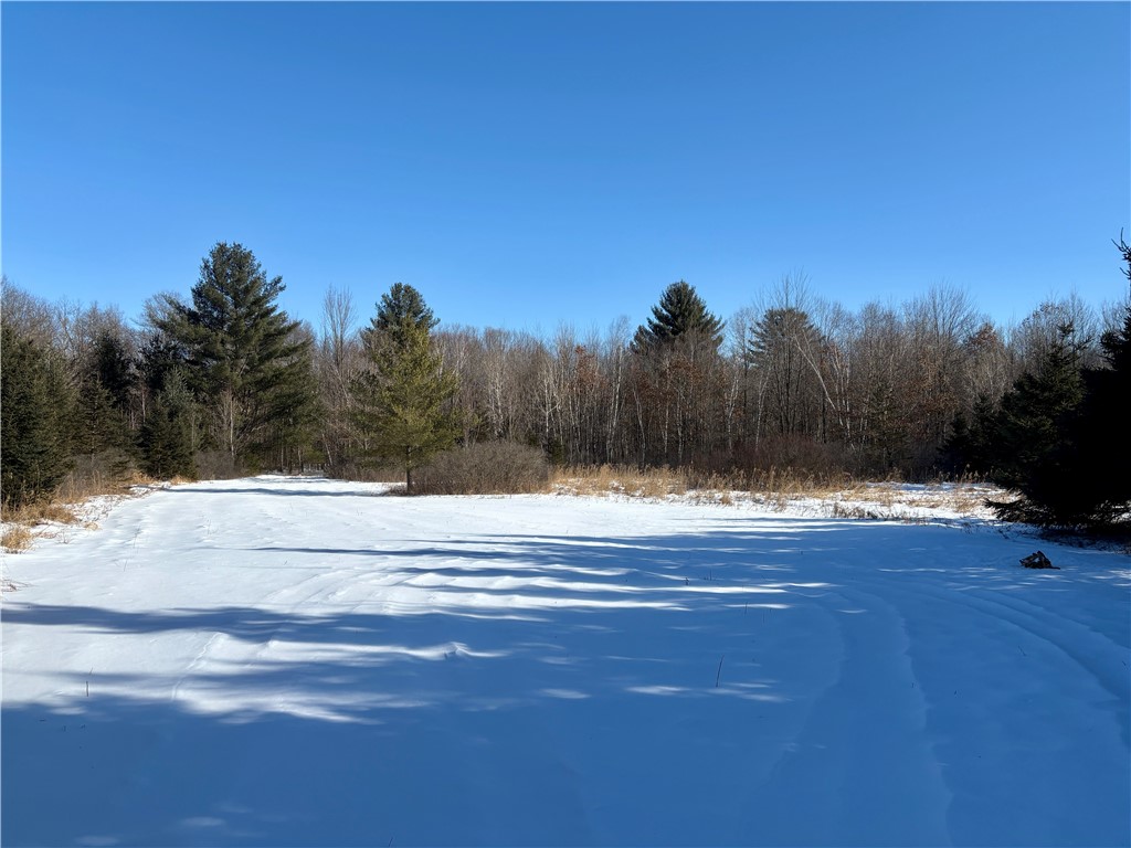 0 Sherwood Road Granton, WI 54436 - Photo 58 of 59