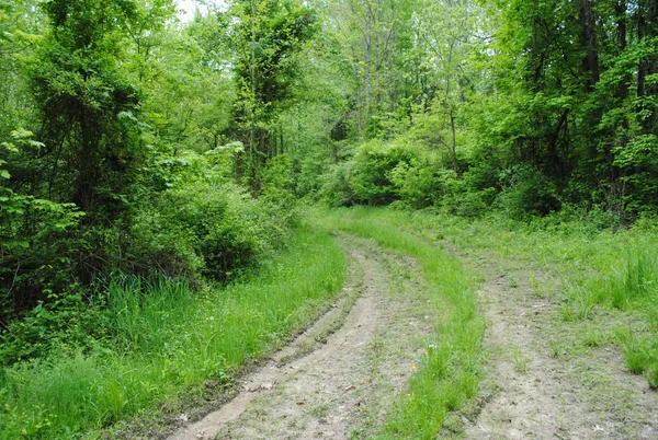 $675,000 | 5695 South 300 Street, North Vernon, IN 47265
