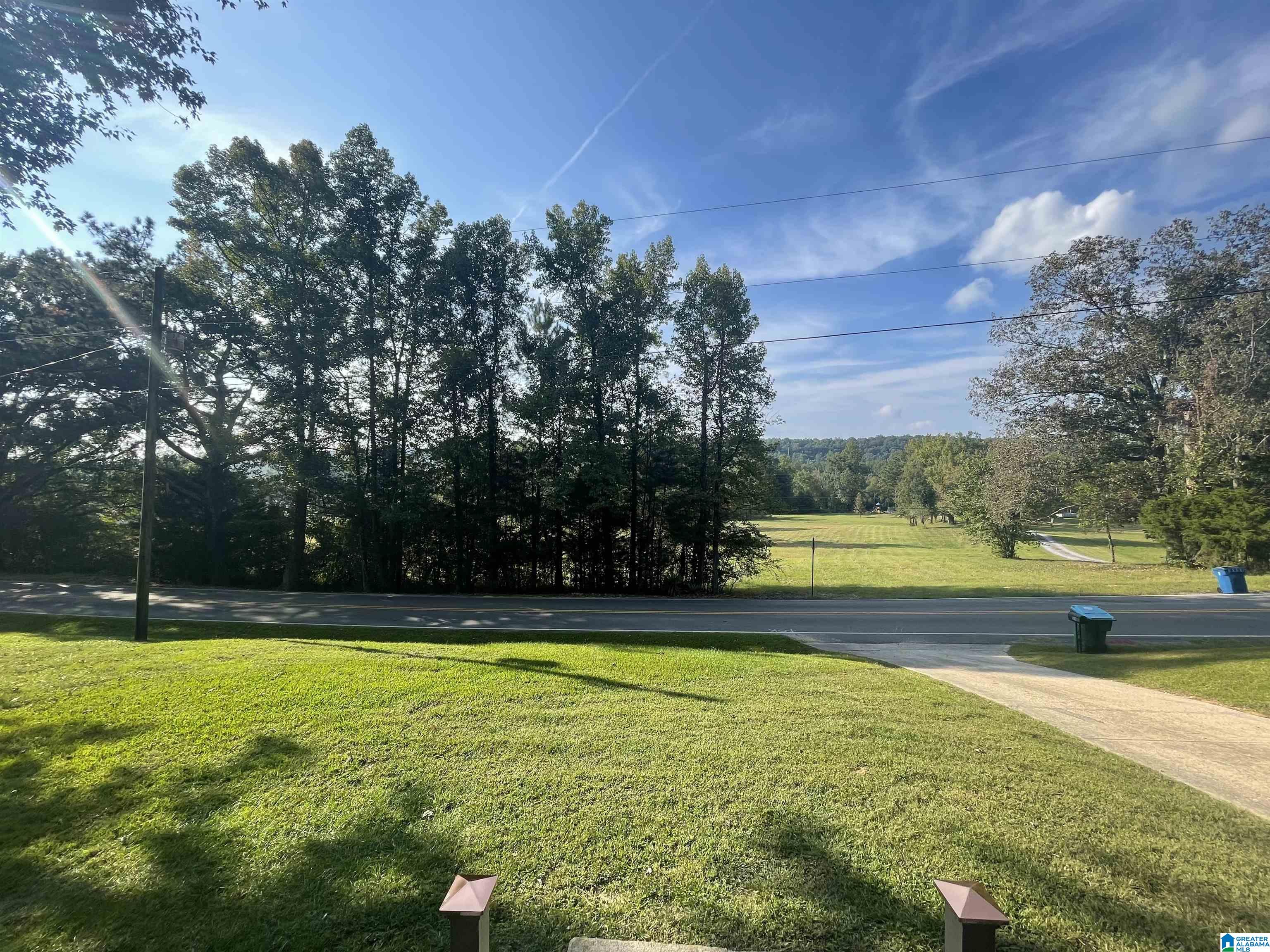 2893 Springville Boulevard Oneonta, AL 35121 - Photo 2 of 24