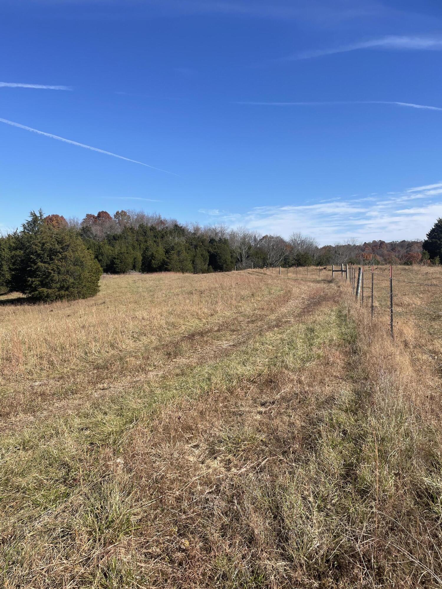 9999 Sugar Grove Road Owingsville, KY 40360 - Photo 10 of 13 61463221-B5AA-4BDC-9AB1-71C66D21D9FB