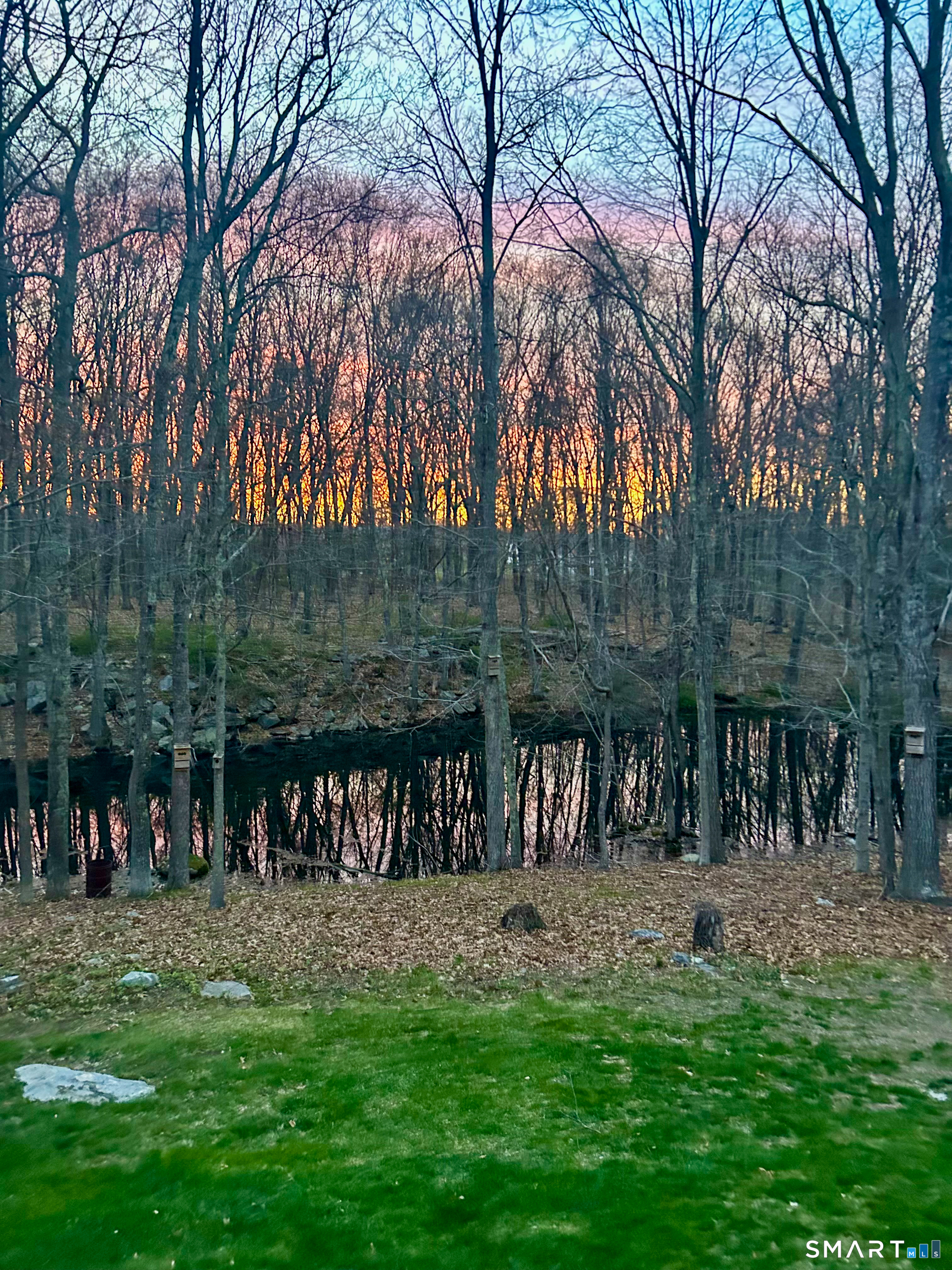 29 Whitney Road Columbia, CT 06237 - Photo 36 of 40 Stream-fed pond