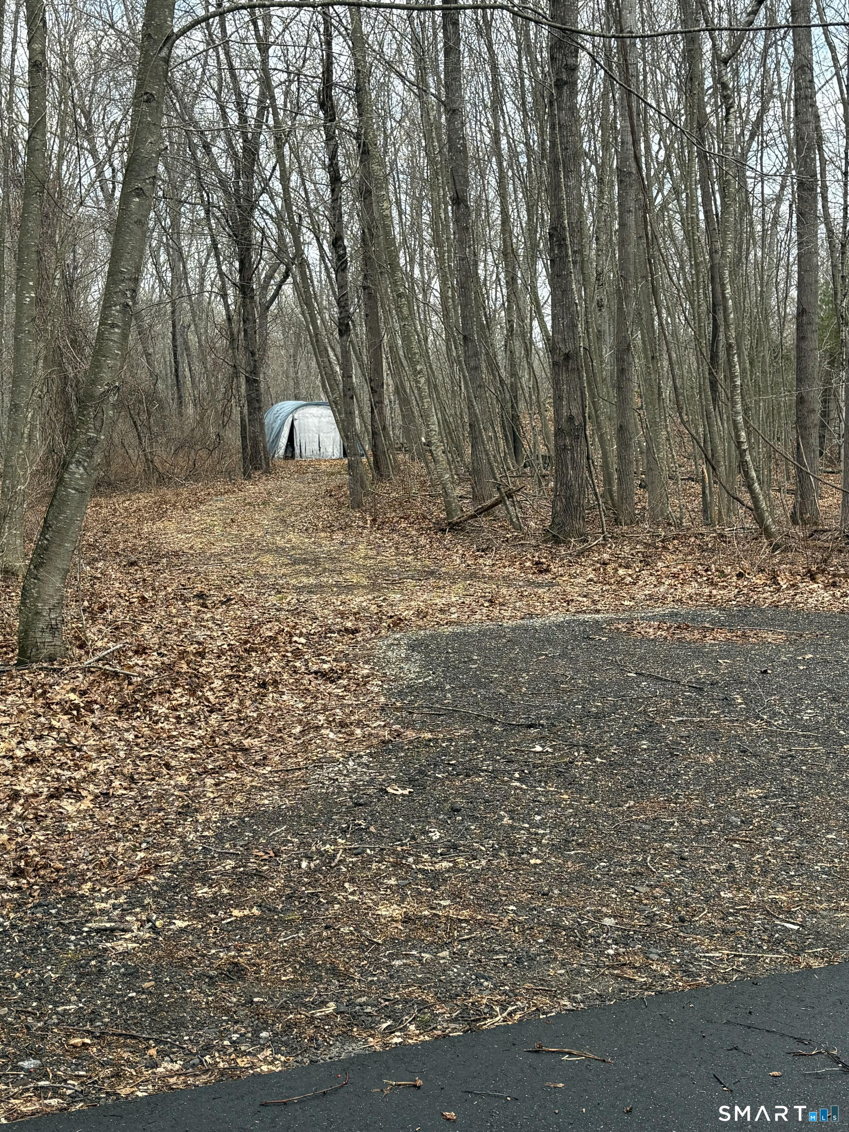 29 Whitney Road Columbia, CT 06237 - Photo 38 of 40 At the back of the property there is a road that leads to the other outbuilding with electricity (used to be a greenhouse)