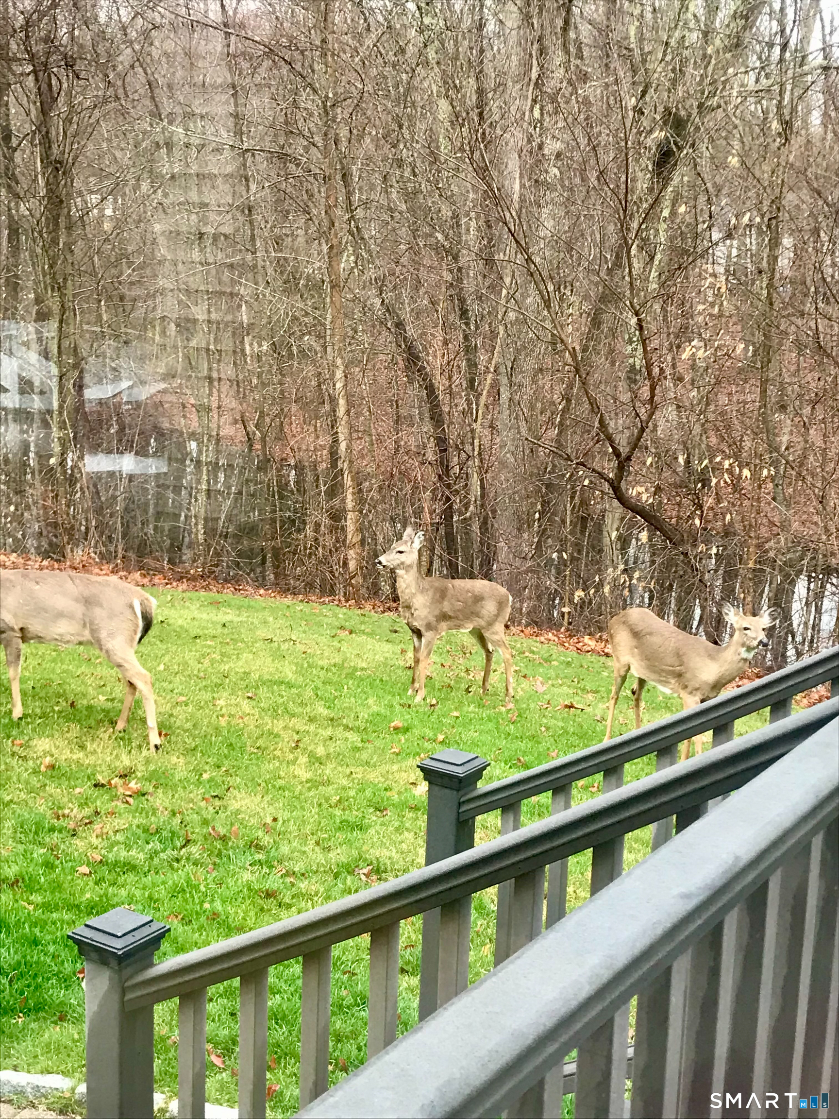 29 Whitney Road Columbia, CT 06237 - Photo 39 of 40