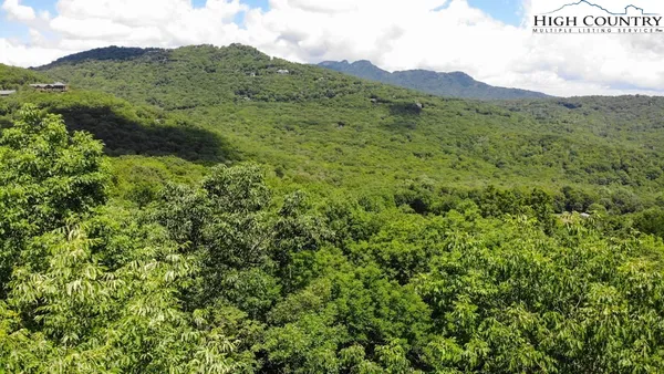 a view of a mountain range with lush green forest