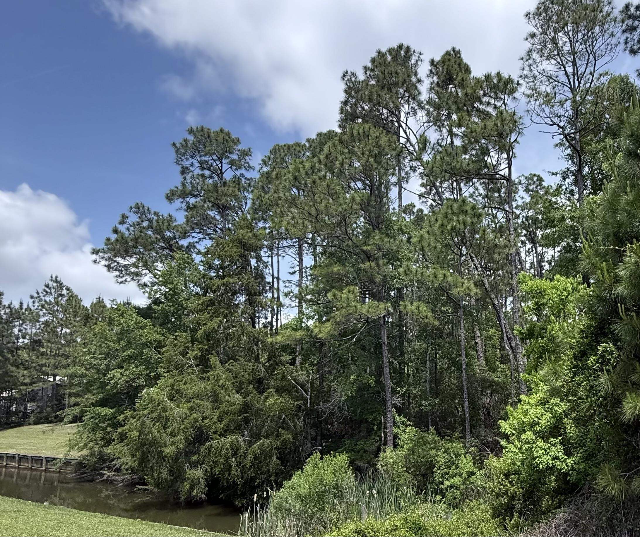 0 Canal Street Elberta, AL 36530 - Photo 3 of 8