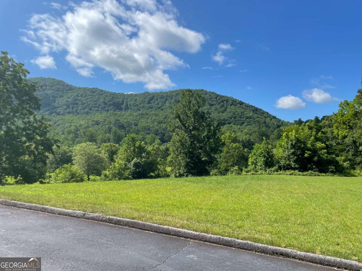 0 Mountain Ridge Drive Rabun Gap, GA 30568 - Photo 4 of 10