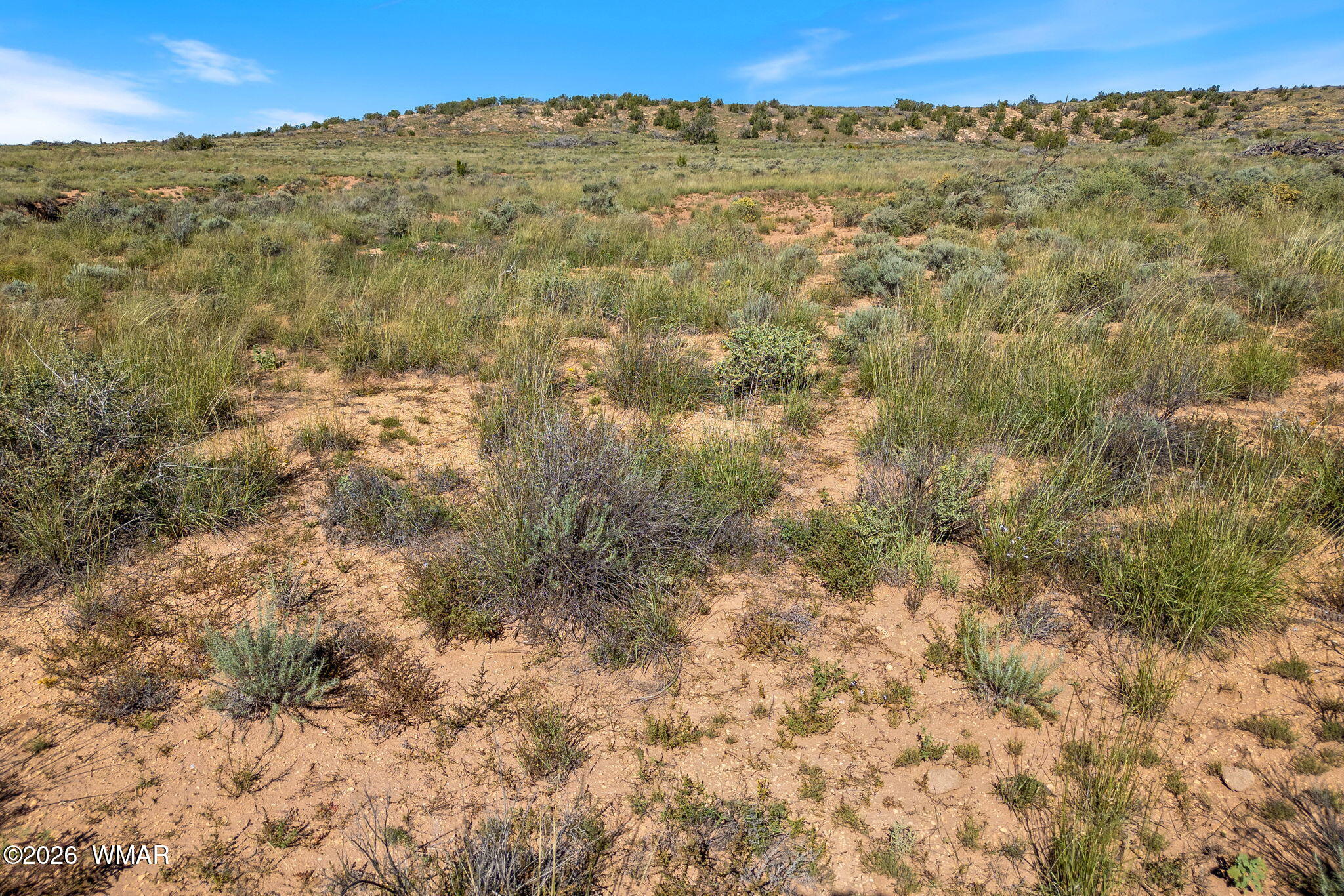 Tbd West Flake Avenue Snowflake, AZ 85937 - Photo 1 of 20 Gallery Image 1
