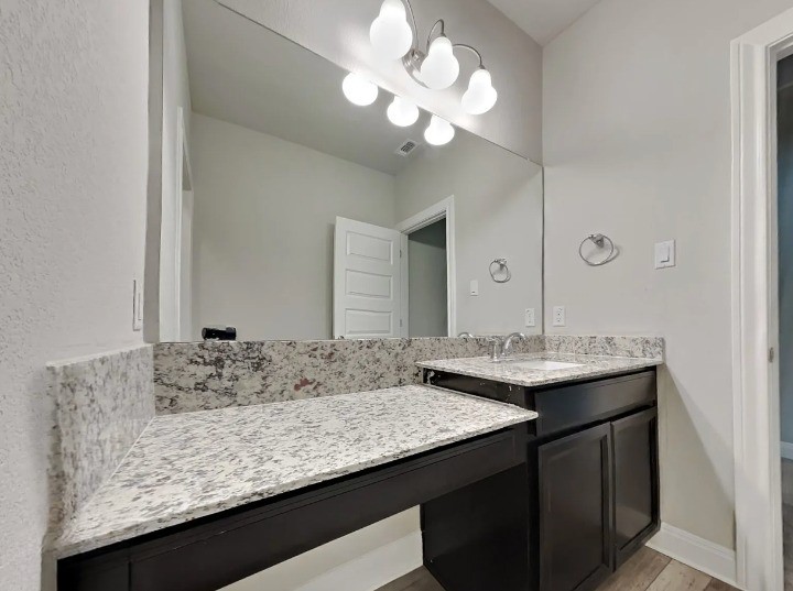 3610 Thunian Pass Pflugerville, TX 78660 - Photo 22 of 27 a bathroom with a sink and a mirror