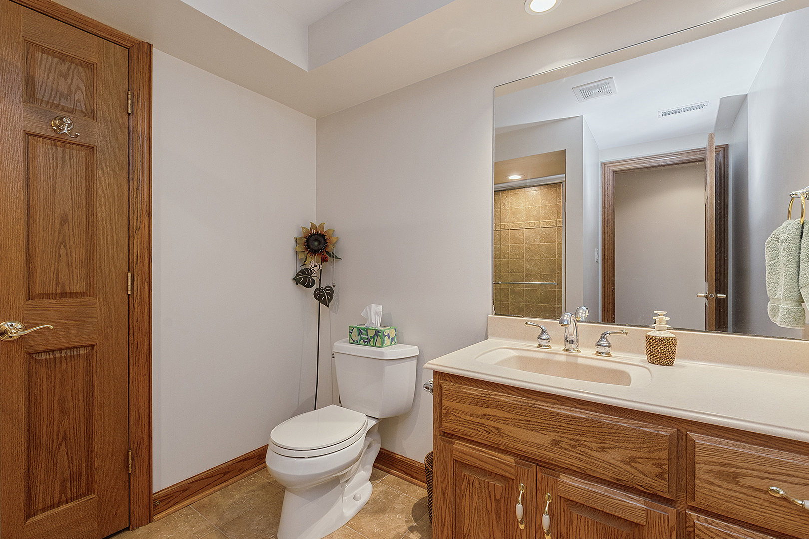 19305 South Parker Road Mokena, IL 60448 - Photo 42 of 61