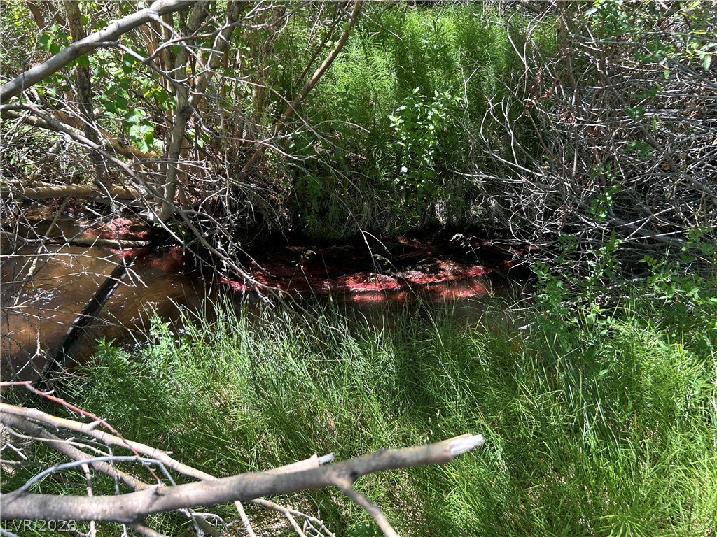 360 Mountain Creek Road Dyer, NV 89010 - Photo 17 of 23 A tranquil stream meanders through lush foliage, offering a private, verdant escape.
