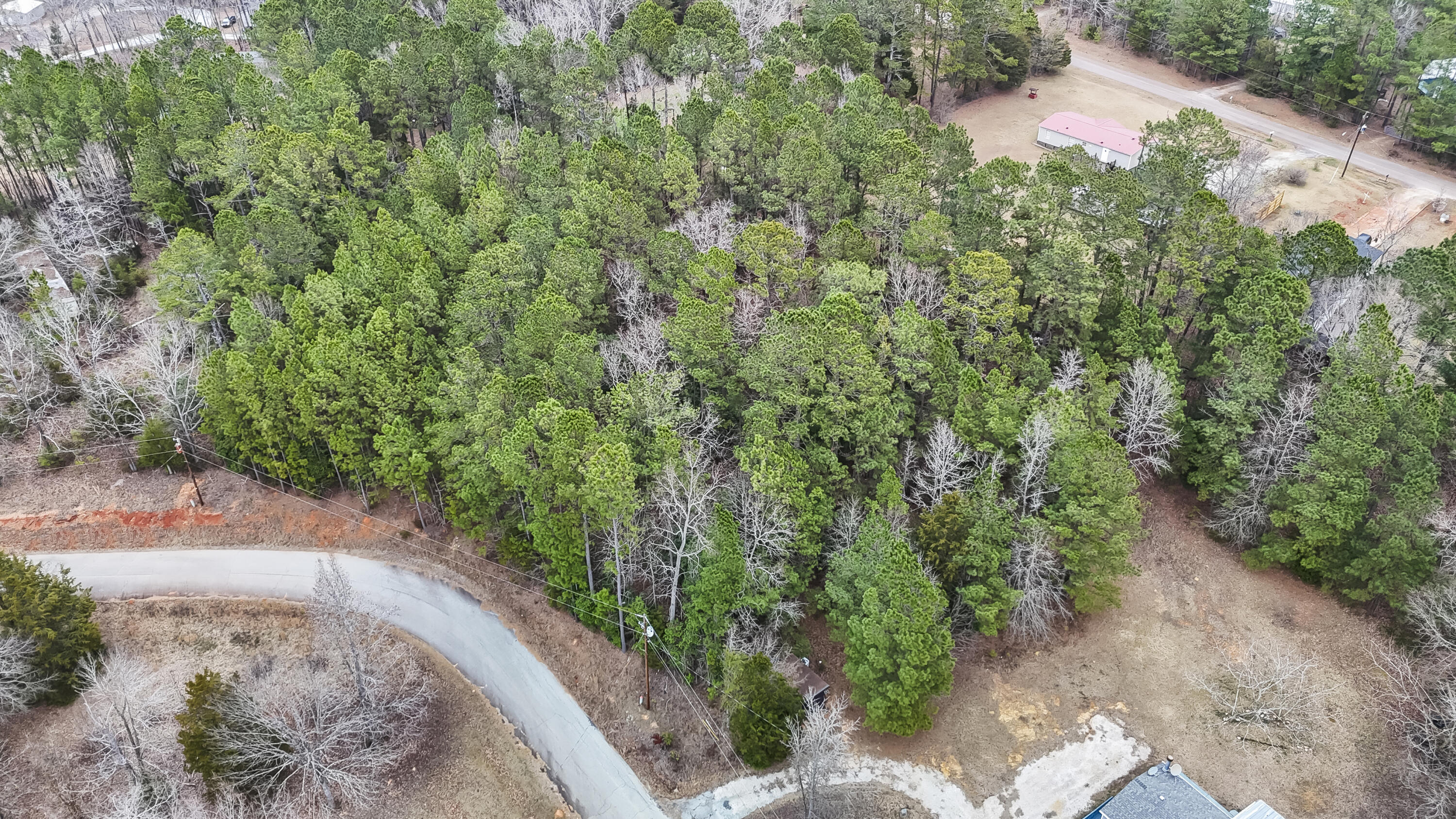 0 Twin Ponds Road Newberry, SC 29108 - Photo 13 of 19
