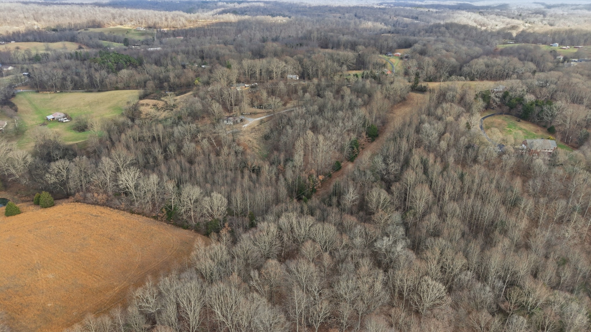 0 Stewart Hollow Road Lynchburg, TN 37352 - Photo 12 of 15 a view of a dry yard
