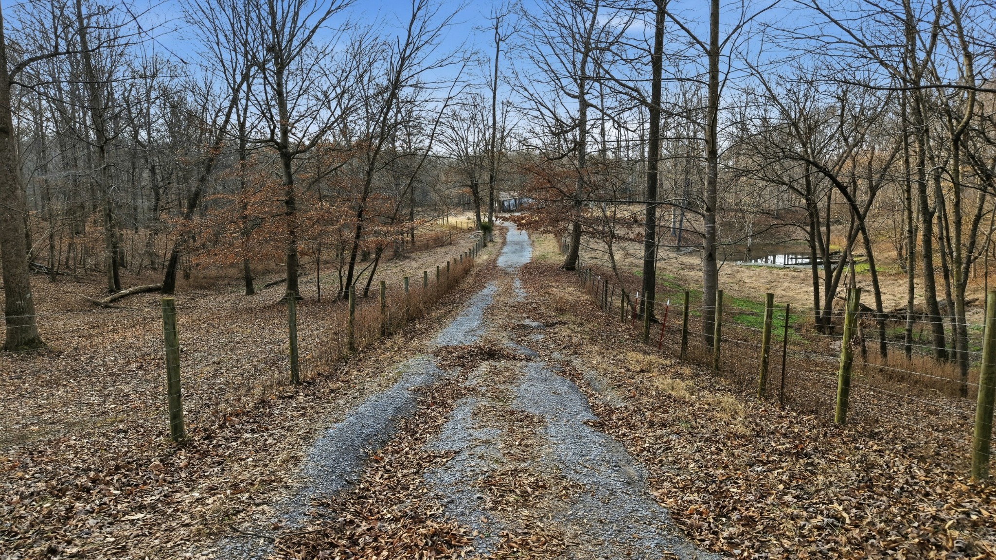 0 Stewart Hollow Road Lynchburg, TN 37352 - Photo 4 of 15 a view of a yard with large trees
