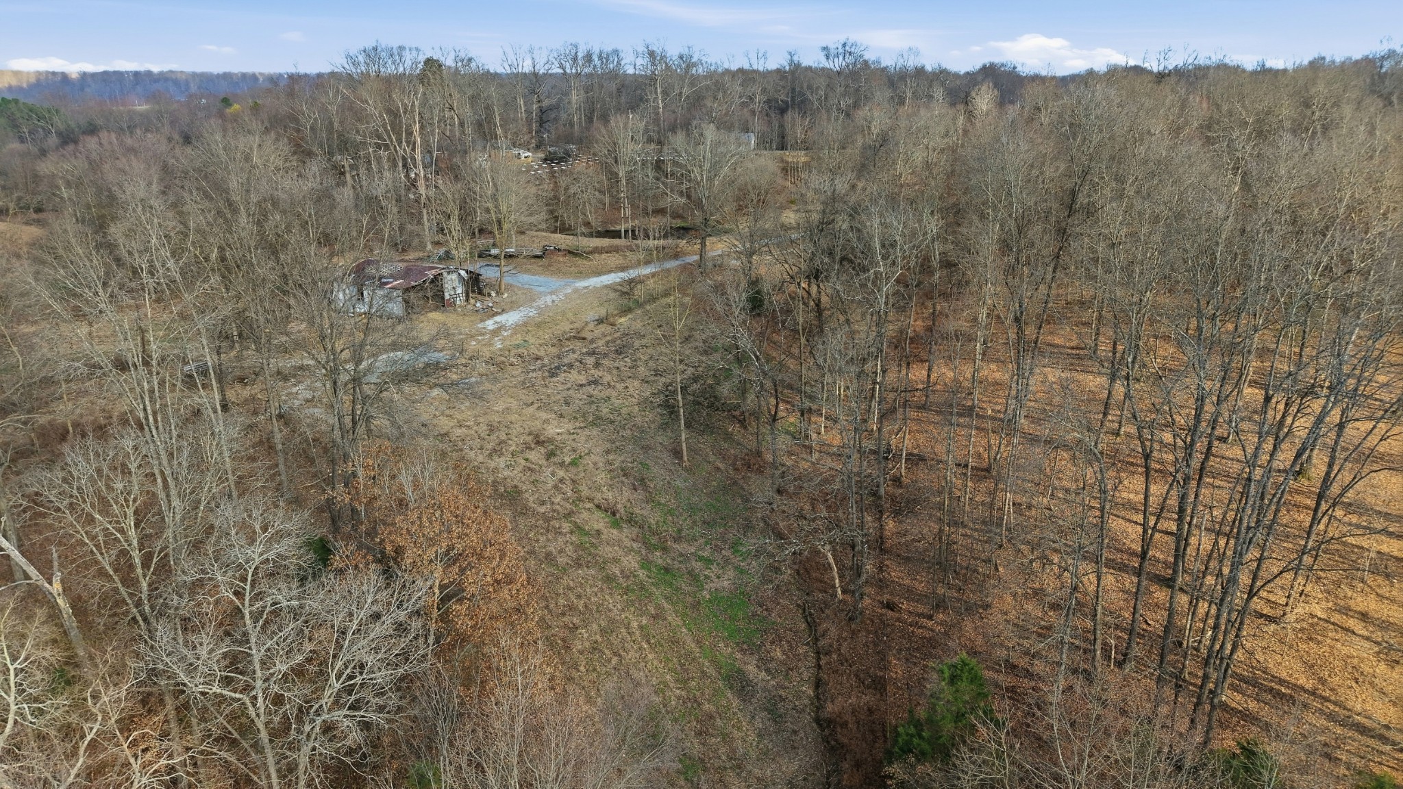 0 Stewart Hollow Road Lynchburg, TN 37352 - Photo 6 of 15 a view of a forest with trees in the background