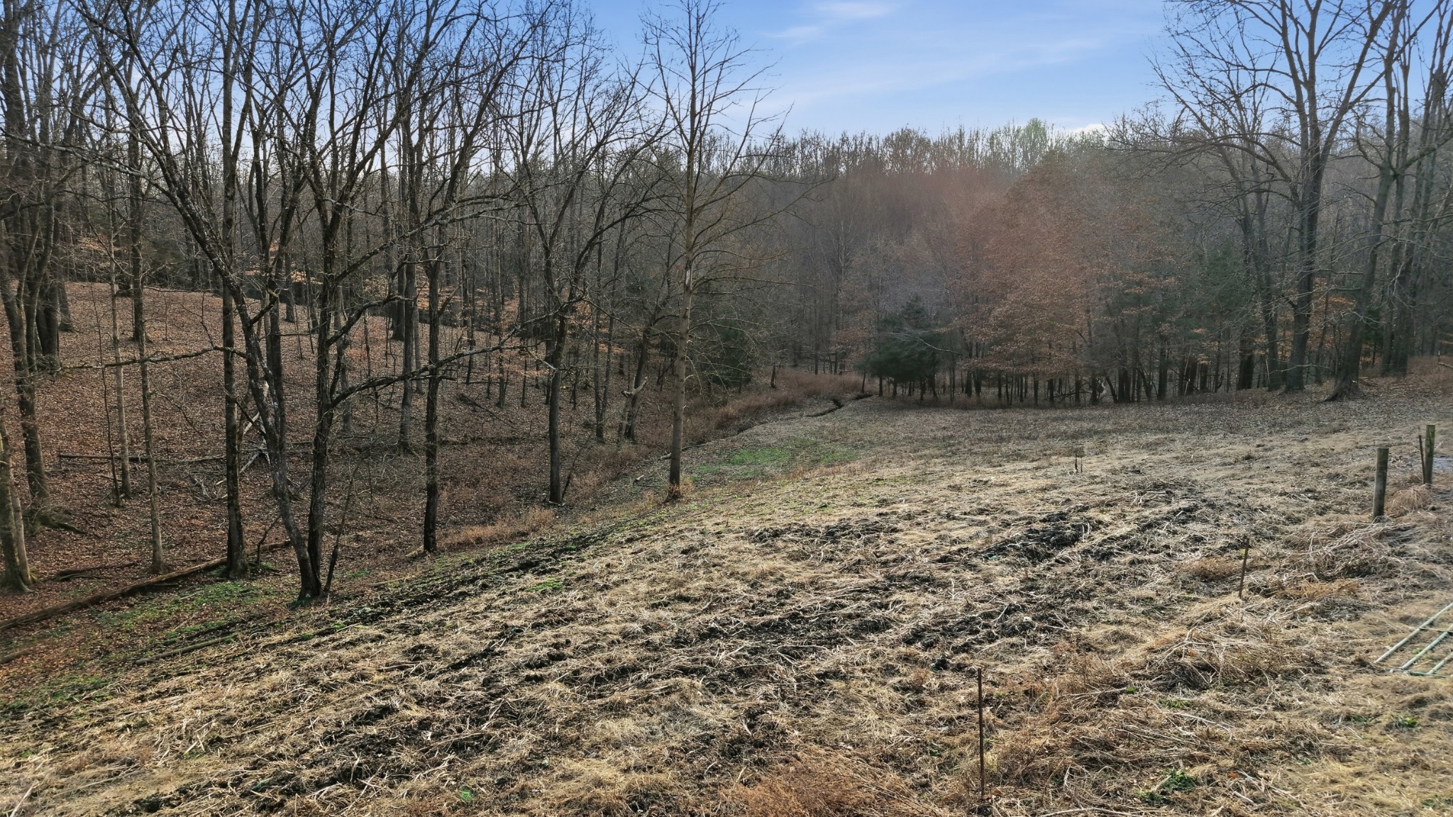 0 Stewart Hollow Road Lynchburg, TN 37352 - Photo 7 of 15 a view of a yard with trees in the background