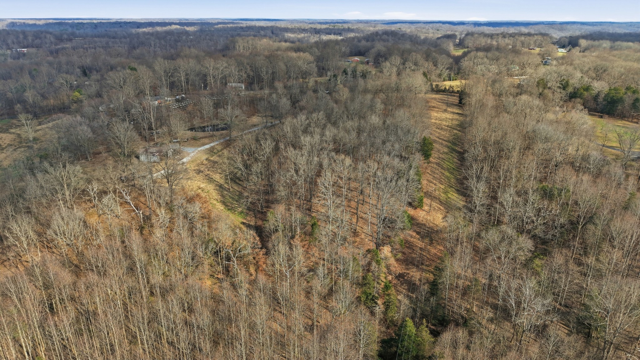0 Stewart Hollow Road Lynchburg, TN 37352 - Photo 10 of 15 a view of a dry yard with trees and bushes
